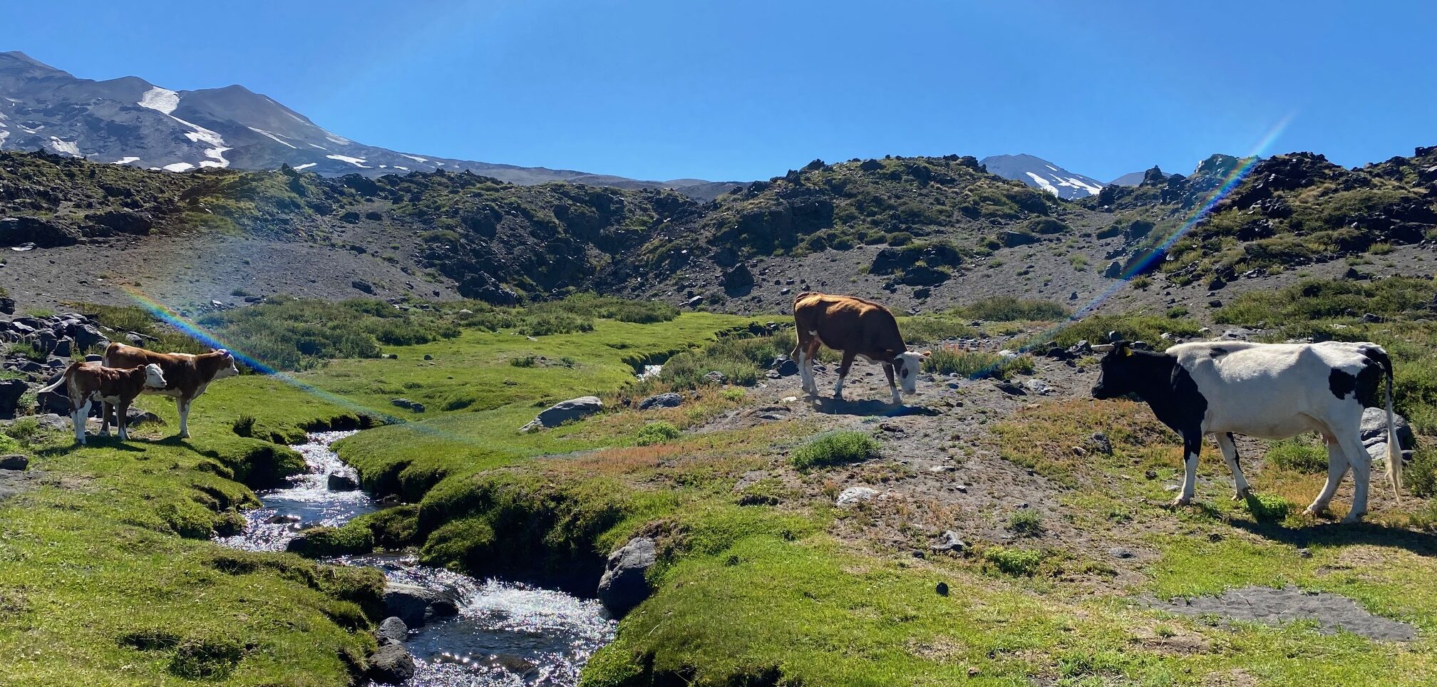 REFUGIO WALDORF Valle Las Trancas Termas Y Nevados De Chillan