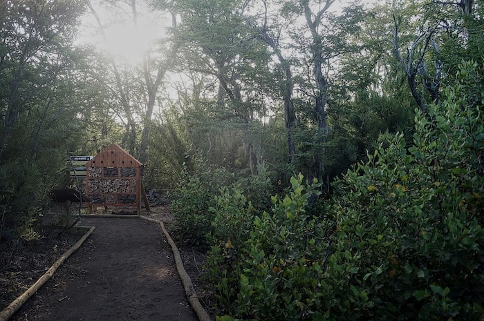 esta zona interactiva es un hotel para insectos , ellos viven en todos los lugares.