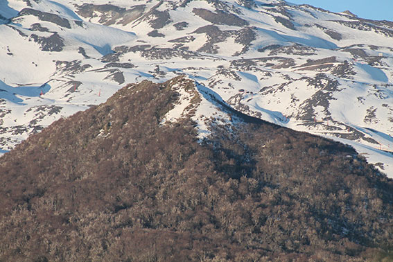 CERRO EL GATO