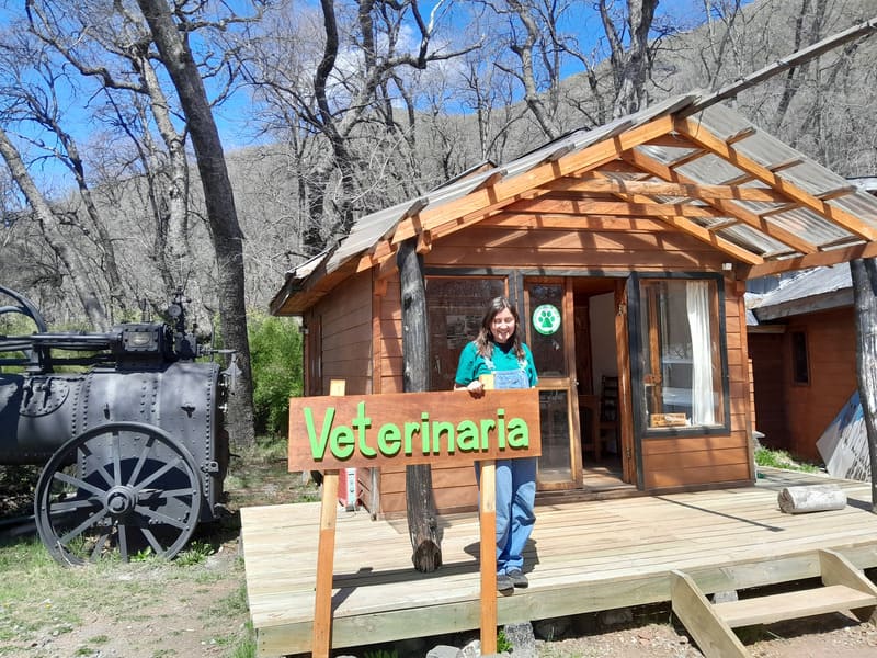 Camila: La veterinaria en la montaña de Valle las Trancas