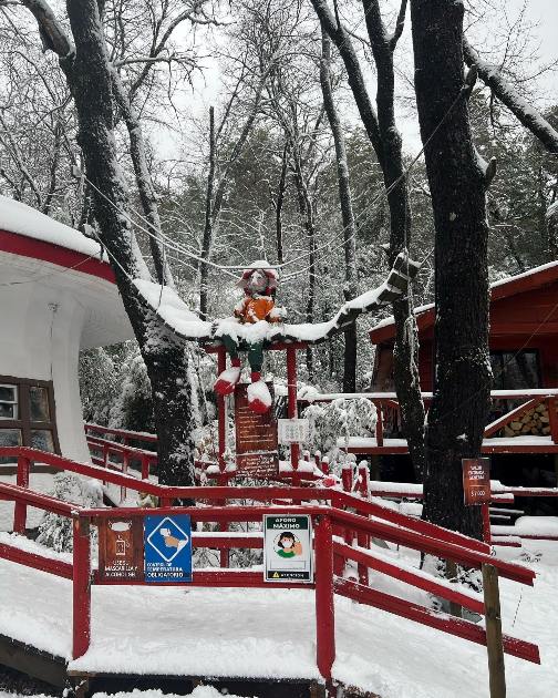 Bosque Encantado con nieve